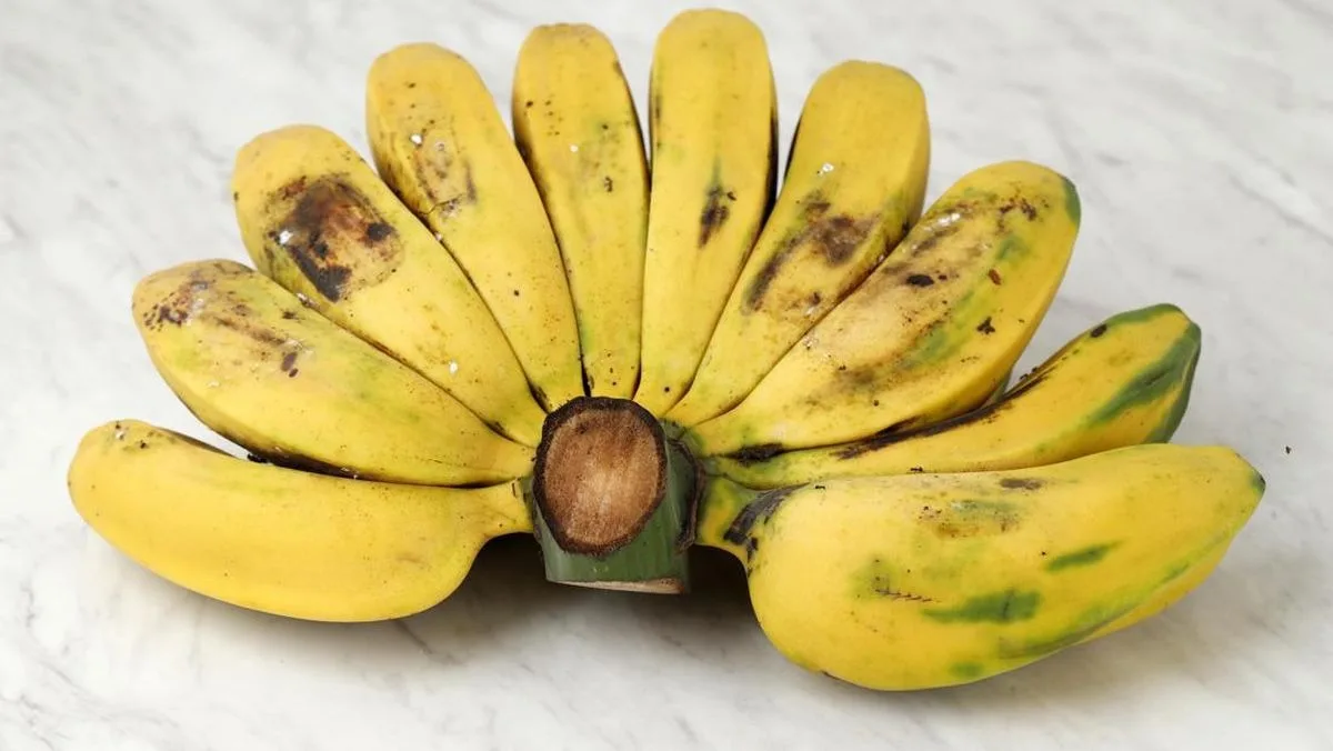 Pisang